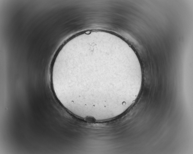 X0000093521280200711091733