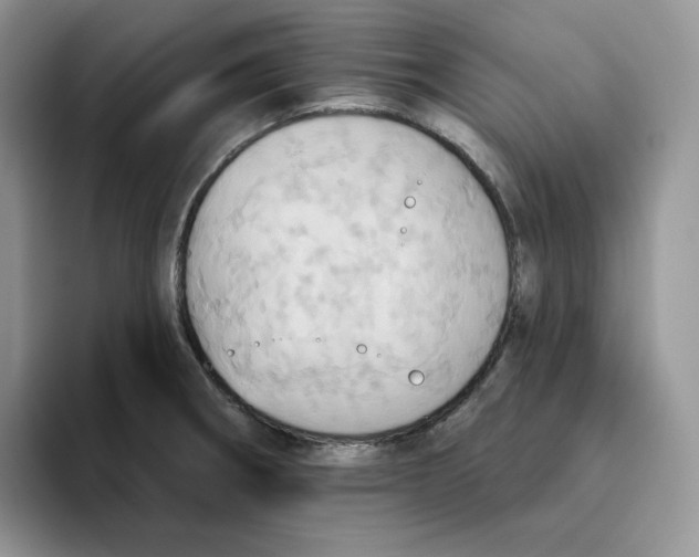 X0000093521282200711091733