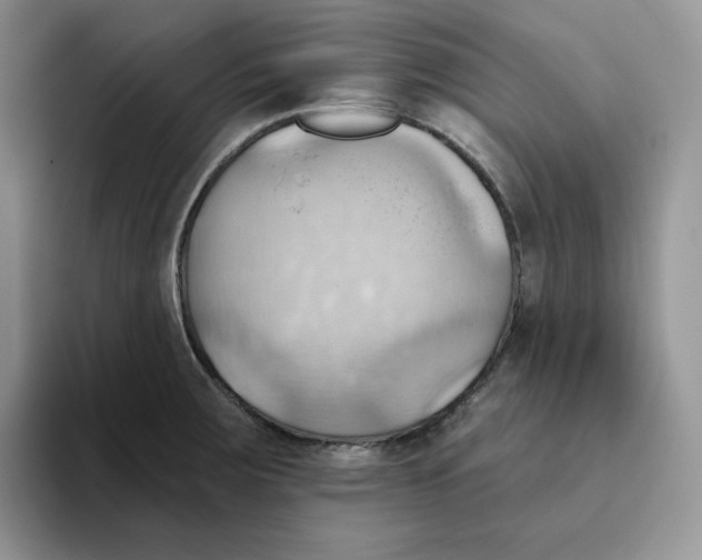 X0000093521283200711091733