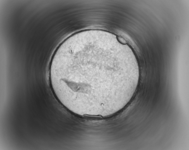 X0000093521284200711091733