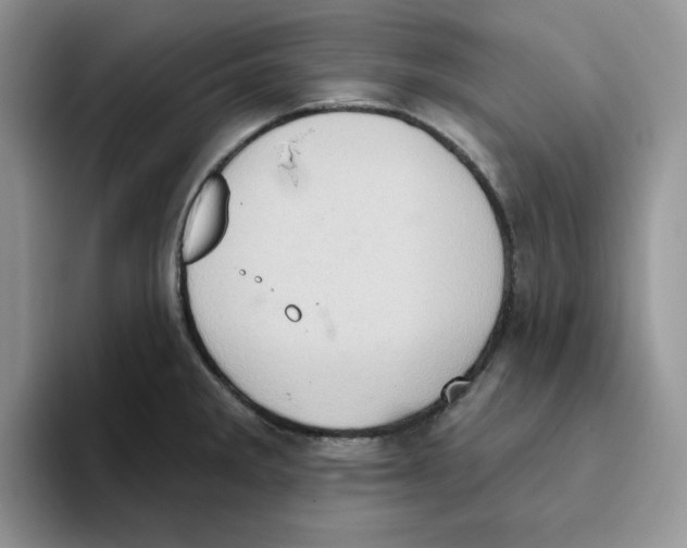 X0000093521285200711091733