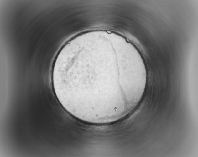 X0000093521288200711091733