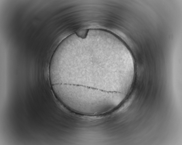 X0000093521289200711091733