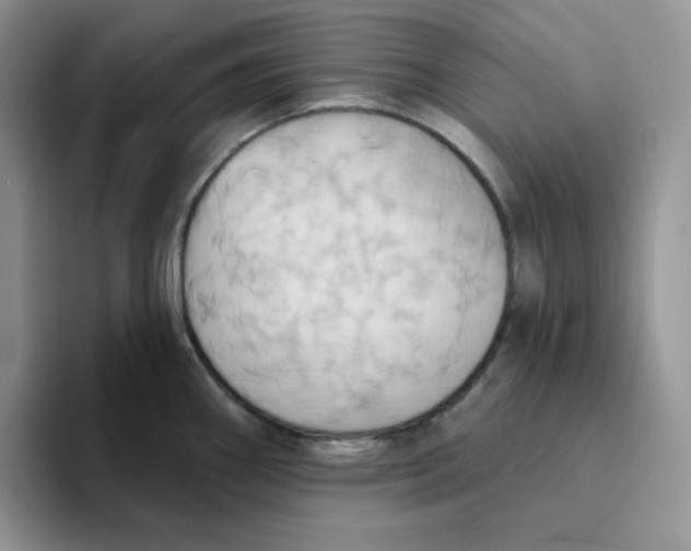 X0000093521290200711091733