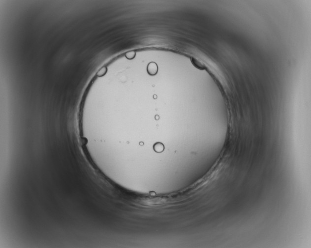 X0000093521291200711091733