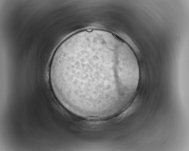 X0000093521292200711091733