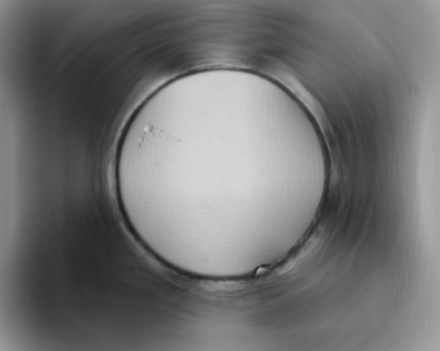 X0000093521293200711091733