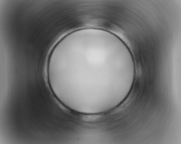 X0000093521294200711091733