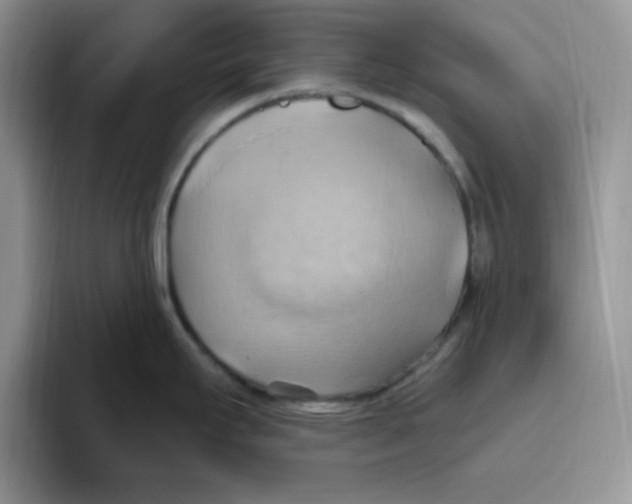 X0000093521295200711091733