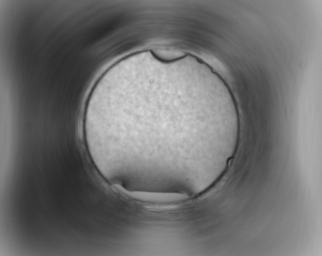 X0000093521296200711091733