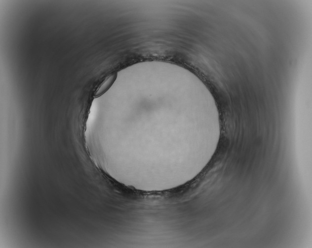 X0000093521297200711091732