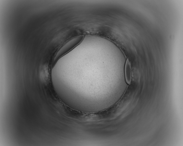 X0000093521298200711091732