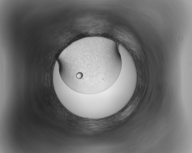 X0000093521300200711091732