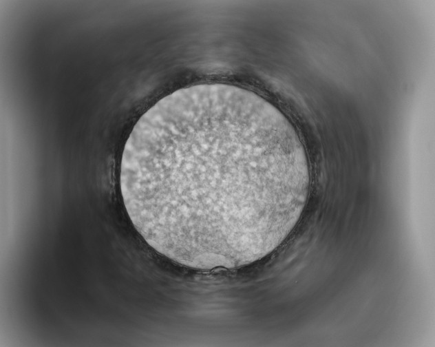 X0000093521301200711091732