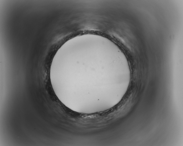 X0000093521303200711091732