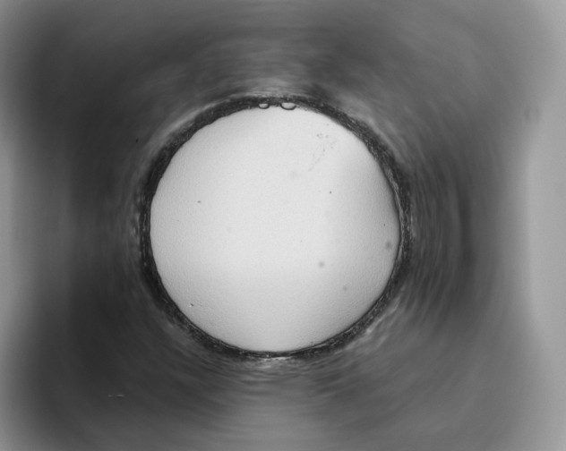 X0000093521304200711091732