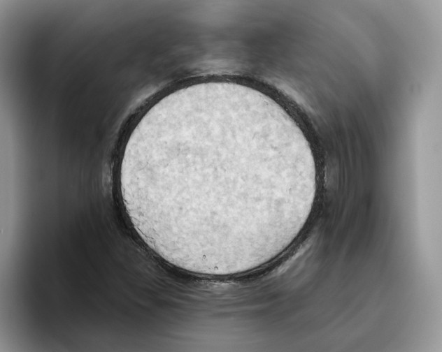 X0000093521309200711091732