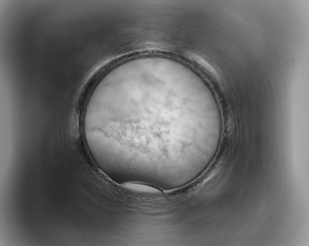 X0000093521310200711091732