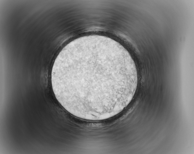 X0000093521313200711091732