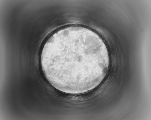 X0000093521318200711091732