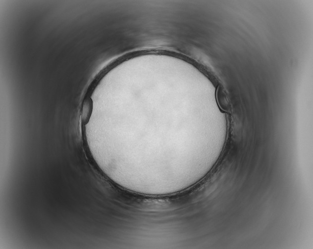 X0000093521320200711091732