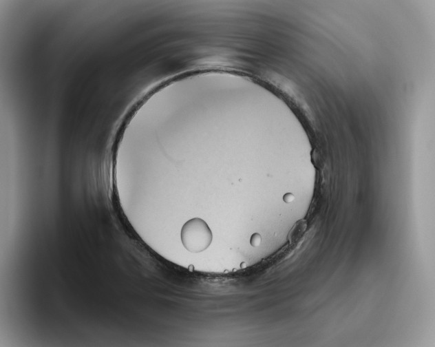 X0000093521323200711091732