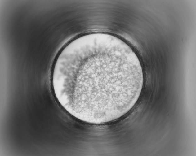 X0000093521325200711091732