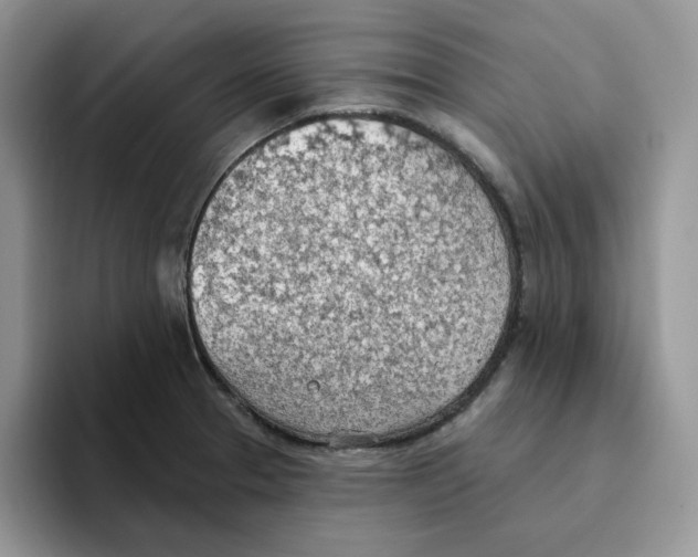 X0000093521329200711091732