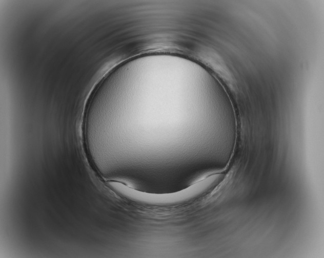 X0000093521330200711091732