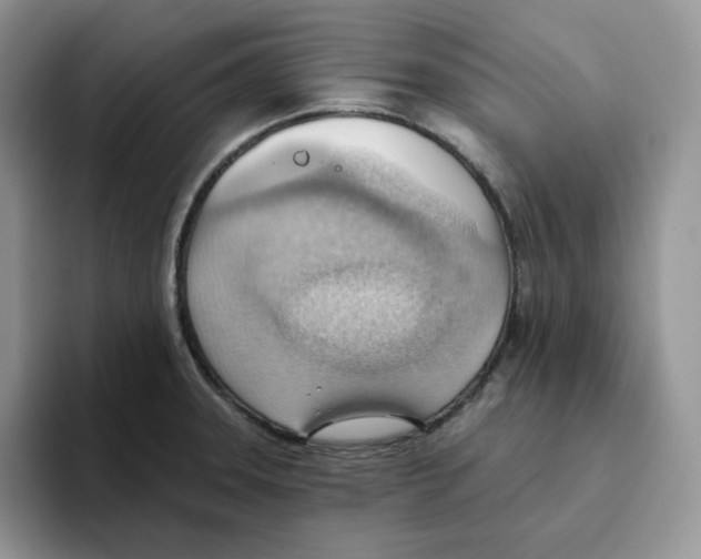 X0000093521331200711091732