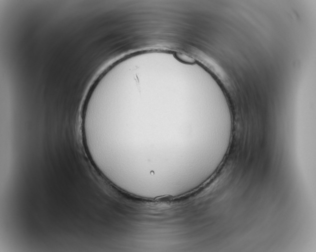 X0000093521332200711091732