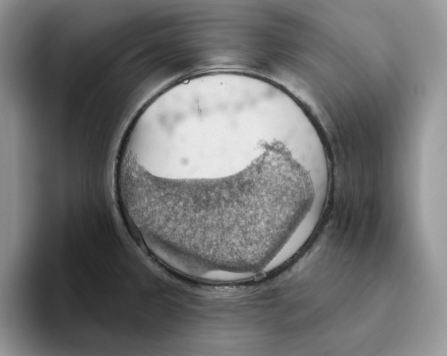 X0000093521333200711091732