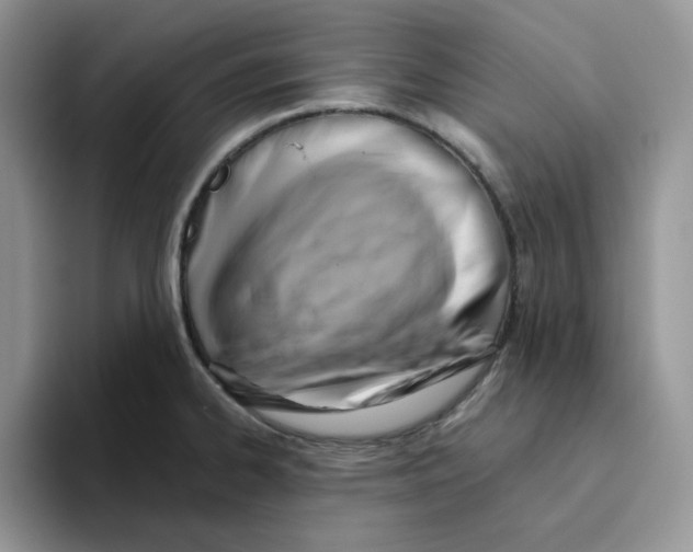 X0000093521334200711091732