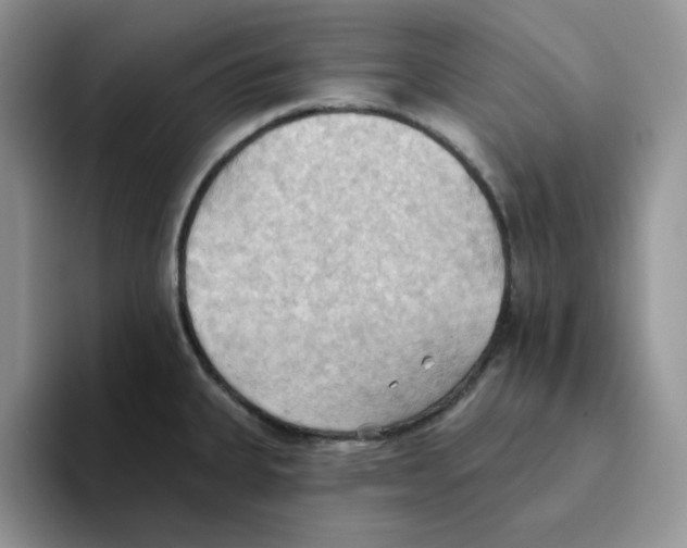 X0000093521335200711091732