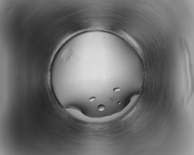 X0000093521340200711091733