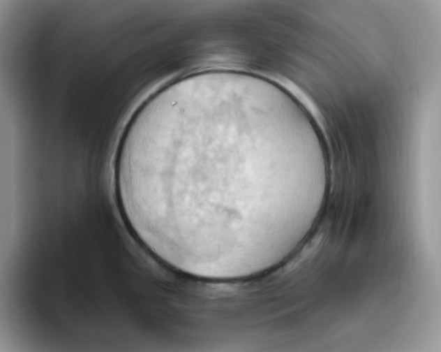 X0000093521341200711091733