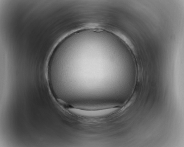 X0000093521342200711091733