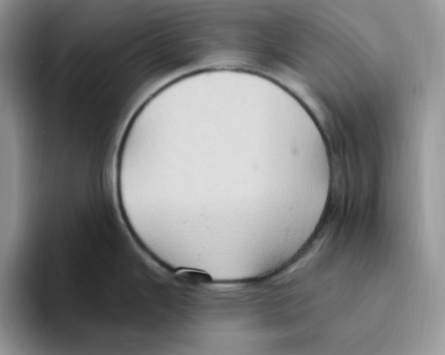 X0000093521343200711091733