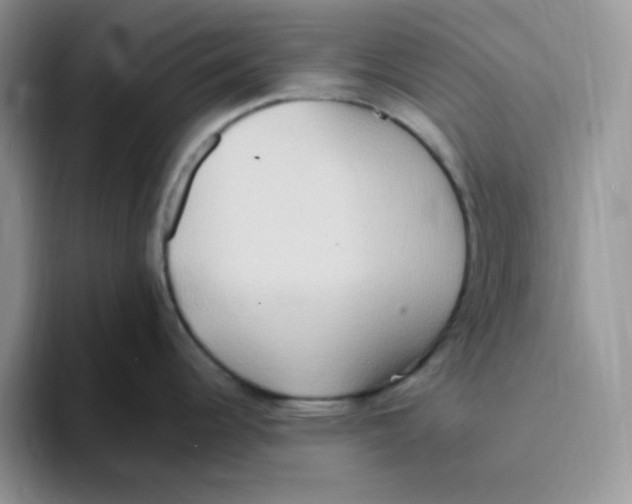 X0000093521344200711091733