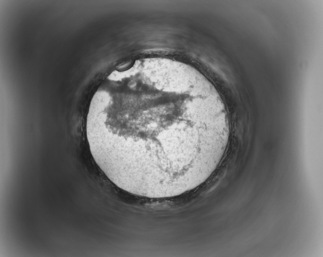 X0000093521351200711091732