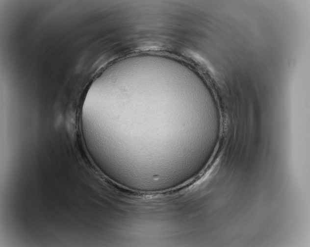 X0000093521353200711091732