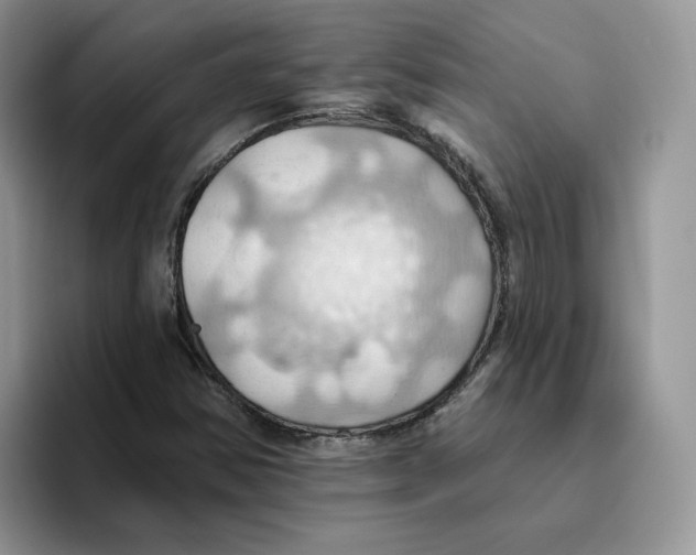 X0000093521354200711091732