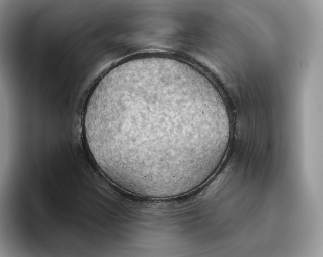 X0000093521355200711091732