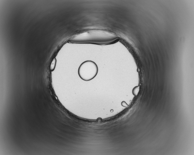 X0000093521357200711091732