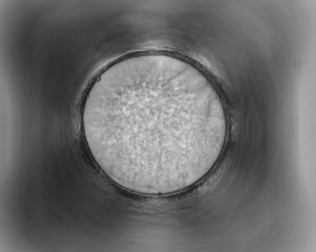 X0000093521358200711091732