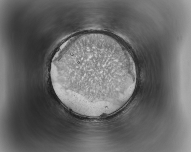 X0000093521359200711091732