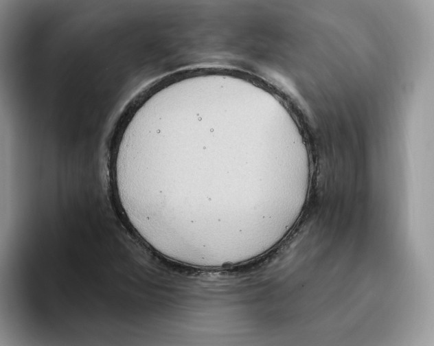 X0000093521360200711091732