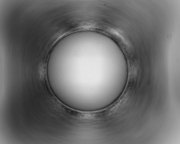 X0000093521361200711091732