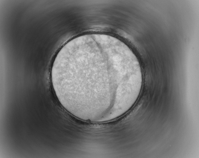 X0000093521362200711091732