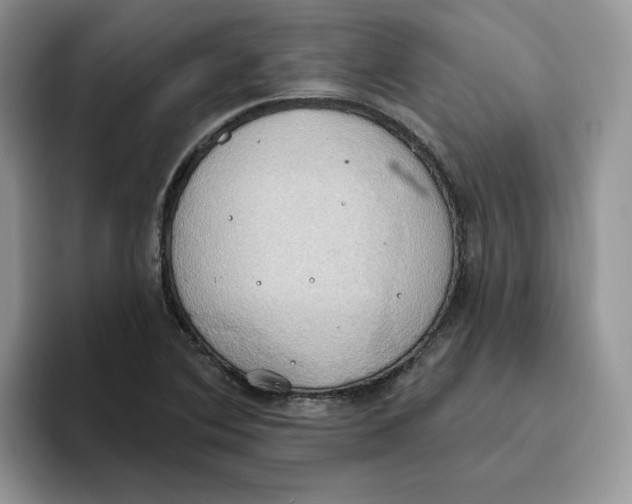 X0000093521364200711091732